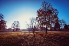 Herbstbild